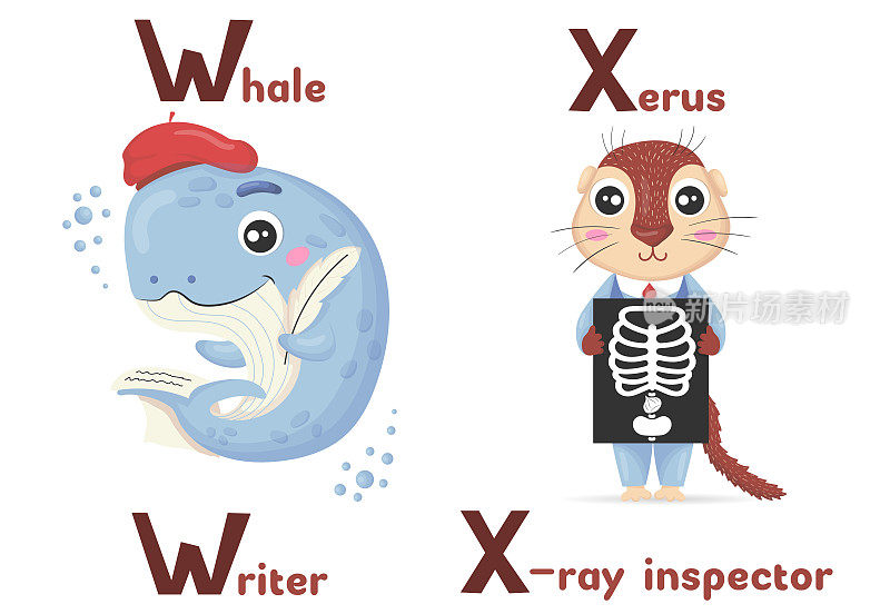 拉丁字母ABC动物职业以字母w开头鲸鱼作家和字母x x x射线检查员卡通风格。